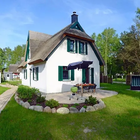 Plankton Comfortable